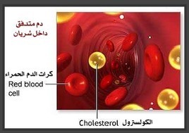 (AR) - تحليل الدهون و الكولسترول فى الدم | 123esaaf.com | Glossarissimo! | Scoop.it