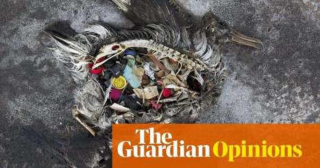 The Guardian view on plastics: reducing bag use is not enough | Plastics | The Guardian | Coastal Restoration | Scoop.it