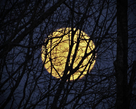 Les scientifiques démolissent le mythe de la pleine Lune | Dr. Goulu | Scoop.it