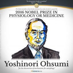 Congratulations to Yoshinori Ohsumi | Plant Biology Teaching Resources (Higher Education) | Scoop.it