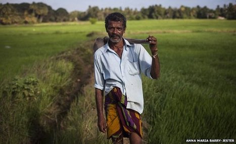 Thousands of Sri Lanka Farmers Dying: Study Links Kidney Disease to Agrochemicals, Pesticides | YOUR FOOD, YOUR ENVIRONMENT, YOUR HEALTH: #Biotech #GMOs #Pesticides #Chemicals #FactoryFarms #CAFOs #BigFood | Scoop.it