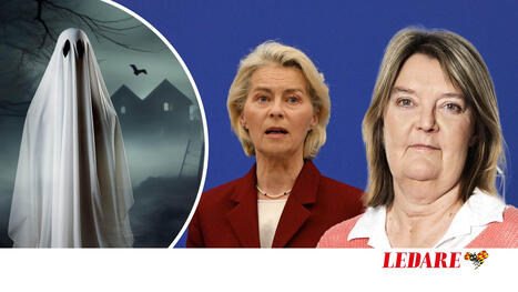 EU-bossen v&auml;cker<br/>svenskarnas skr&auml;ck | A1Uutiset | Scoop.it