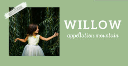 Baby Name Willow: Magical and Meaningful | Name News | Scoop.it