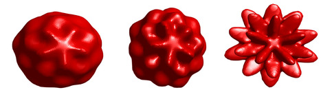 Caractérisation quantitative du caractère spiculé des tumeurs grâce à l’imagerie médicale – Etude méthodologique | Life Sciences Université Paris-Saclay | Scoop.it