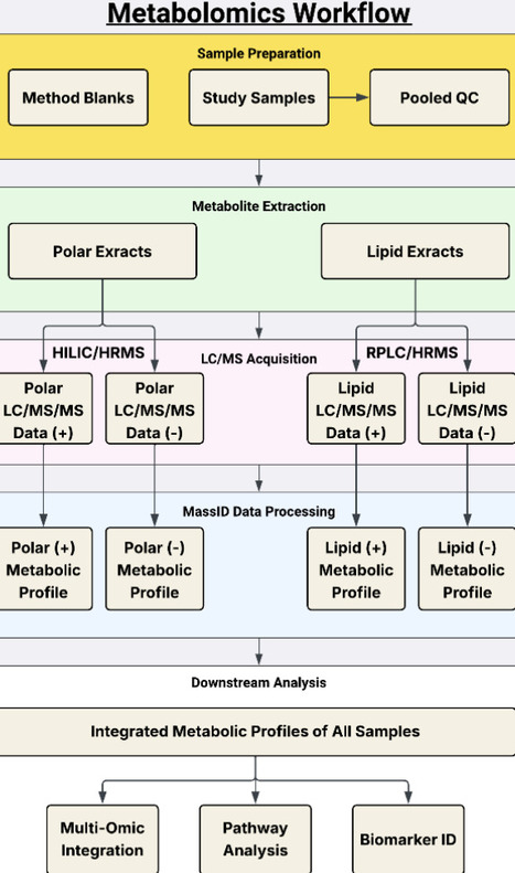MassID provides near complete annotation of metabolomics data with identification probabilities | brvbi | RMH | Scoop.it
