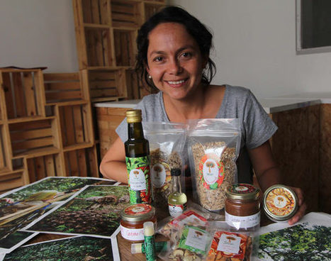 Innovating Brazil nuts: a business with roots in the rainforest | RAINFOREST EXPLORER | Scoop.it