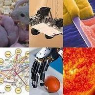 Los diez grandes descubrimientos científicos de 2012, según Science | Mi Cajón de Ideas | Scoop.it