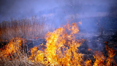 Macon County issues open burn ban due to extreme fire risk | Industry 411 - Waste Management | Scoop.it