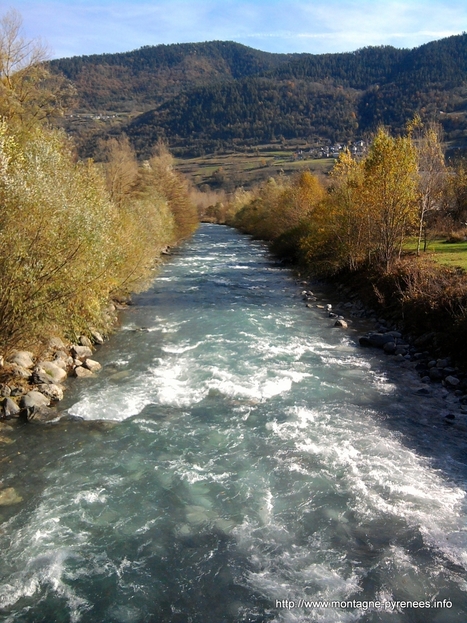 Pêche : les populations vont se reconstituer… | Vallées d'Aure & Louron - Pyrénées | Scoop.it