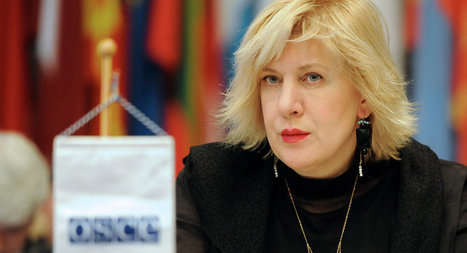 France/renseignement : l’OSCE appelle à revoir le projet de loi | Koter Info - La Gazette de LLN-WSL-UCL | Scoop.it
