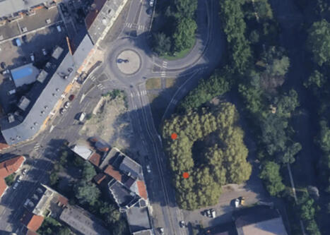 Chancre color&eacute; : deux platanes contamin&eacute;s vont &ecirc;tre abattus &agrave; Tarbes | Accueil | Scoop.it