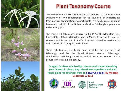 ERI Plant Taxonomy Course | Cayo Scoop!  The Ecology of Cayo Culture | Scoop.it