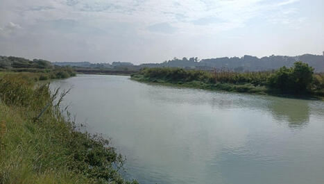 Quiberville-sur-Mer : le fleuve de la Saâne reconnecté à la Manche  | Regards croisés sur la transition écologique | Scoop.it