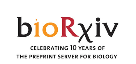 Medium:&nbsp;10 things you should know about preprints (2023) | Publications | Scoop.it