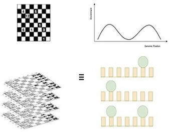 Les données de séquençage de nouvelle génération modélisées à la manière d’un jeu d’échecs | Life Sciences Université Paris-Saclay | Scoop.it