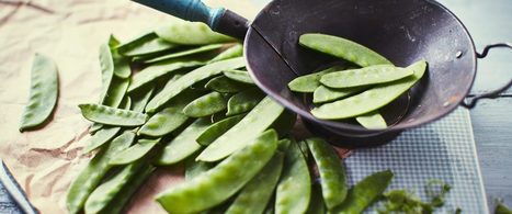 Pois gourmand, en effet | IPCI : Ingénierie de Produits à l'interface Cuisine-Industrie | Scoop.it