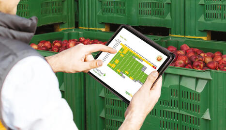 Le d&eacute;troit d&rsquo;Ormuz met sous pression la LOGISTIQUE des fruits et l&eacute;gumes frais | CIHEAM Press Review | Scoop.it