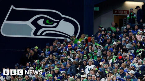 Seattle Seahawks: Tribal origins of NFL logo links fans to indigenous roots | Indigenous Stories and Education | Scoop.it