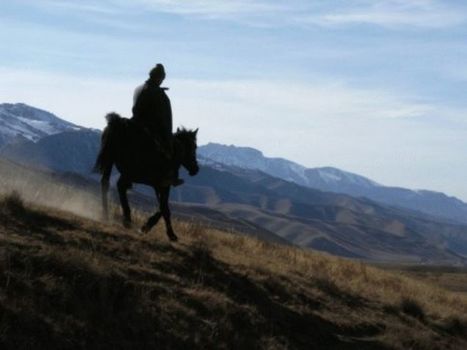 Ainsi en naît-il... - Libération | Salon du Cheval | Scoop.it