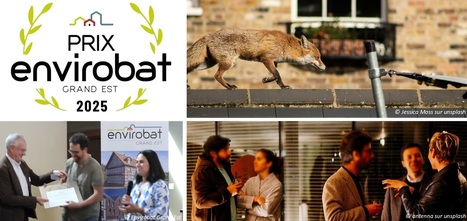 Venez rencontrer les acteur·ices de projets exemplaires en termes de qualité environnementale ! | Envirobat Grand Est | La SELECTION du Web | CAUE des Vosges - www.caue88.com | Scoop.it