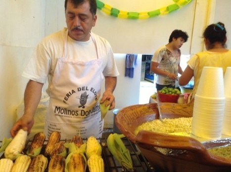 Drugs Displace Maize on Mexico’s Small Farms | Questions de développement ... | Scoop.it