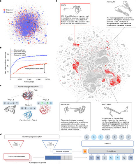 Programmable design of functional proteins from natural language | nat | RMH | Scoop.it