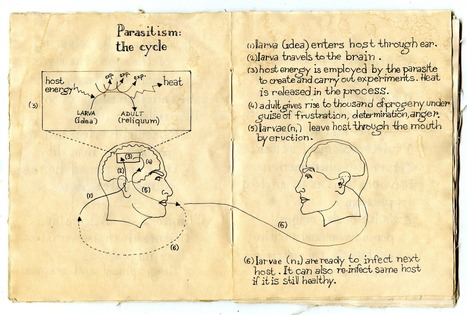 Failures as Scientific Art | Failure and Learning | Scoop.it
