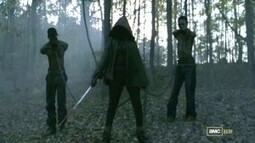 Boomstick Comics: Your guide to Comics, Music, Film and Events in Dallas, TX &raquo; Blog Archive &raquo; Get A Sneak Peek At Michonne Slicing Up Some Zombies in the Upcoming Season of &lsquo;Walking Dead&rsquo;!!! | Winning The Internet | Scoop.it