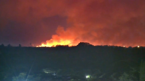 Why even resilient forests are struggling to regrow after wildfires - WSVN | Operation Deimos | Scoop.it