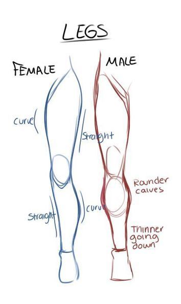 Gender Legs Drawing Reference Guide | Drawing References and Resources | Scoop.it