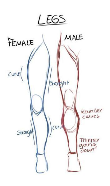 Featured image of post Basic Drawing References Female There are 16 references cited in this article which can be found at the bottom of the page