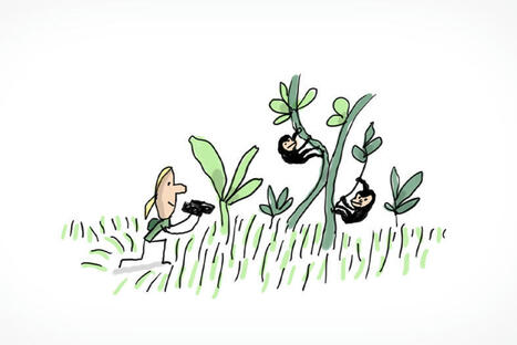 C’est qui, Jane Goodall ? | FLEursdeFLE | Scoop.it