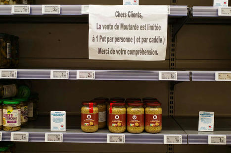 FRANCE : La pénurie de moutarde, « une opportunité » pour relancer la filière française | CIHEAM Press Review | Scoop.it