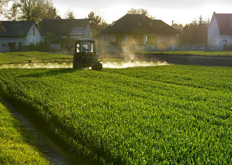 Pesticides : le Conseil constitutionnel censure le dispositif des chartes d'engagements départementales | Environnement et technique | Scoop.it