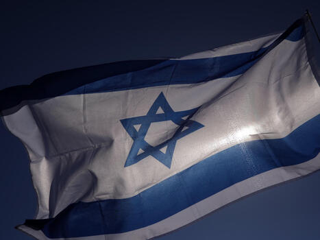 Espionnage : Tsahal écarte les véhicules chinois près de ses bases | DEFENSE NEWS | Scoop.it