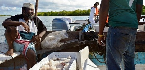 Kenya: l'océan se vide, les pêcheurs s'adaptent pour survivre | GREENEYES | Scoop.it