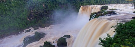 Lessons from Latin America: Cultivating corridors | AM&Eacute;RIQUES | Scoop.it