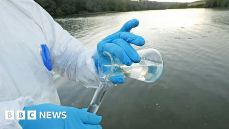Water firm wrongly downgraded pollution events, documents suggest | Microeconomics: IB Economics | Scoop.it