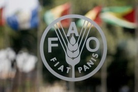 Scientists praise and challenge FAO on agroecology | Questions de développement ... | Scoop.it