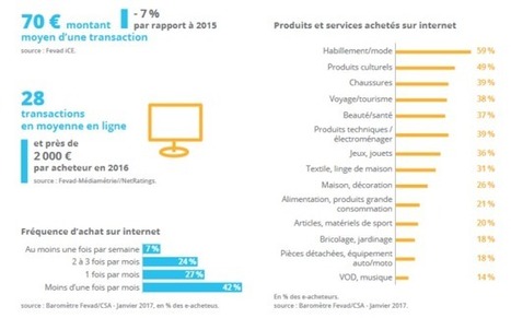 Les chiffres du e-commerce en France en 2016-2017 - Blog du Modérateur | Ecommerce | Scoop.it