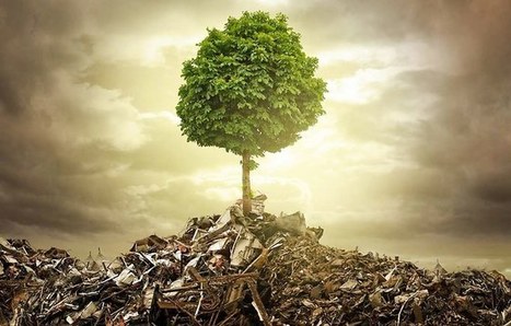 L’économie circulaire, un espoir pour la planète | Economie Responsable et Consommation Collaborative | Scoop.it