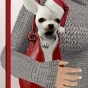 Pet Carrier Christmas Gift by TuTy's | Teleport Hub | Teleport Hub | Scoop.it