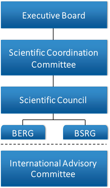 iBB´s Organizational Structure | iBB | Scoop.it