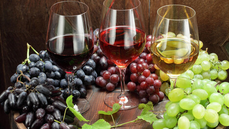 VITICULTURE Et si le changement climatique nous offrait un meilleur vin ? | CIHEAM Press Review | Scoop.it