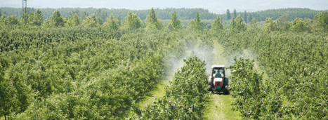 Victimes des pesticides : un projet de loi ébauche le futur fonds d’indemnisation | Prévention du risque chimique | Scoop.it