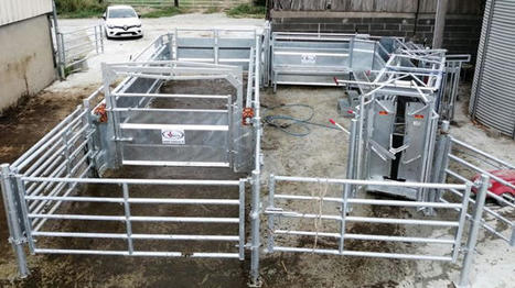 Parc de contention pour les bovins allaitants | Actualités de l'élevage | Scoop.it