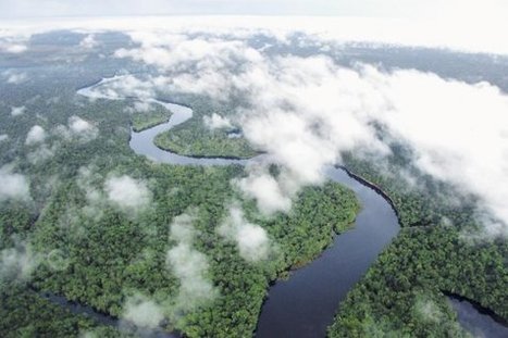 El Amazonas reduce a la mitad su capacidad para absorber dióxido de carbono | MOVUS | Scoop.it
