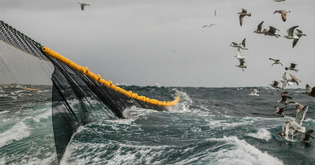 Interview. Protection des océans : « La France n'est pas suffisamment exemplaire pour faire la leçon » | Une semaine d'actu - Newsletter de veille de l'AURH | Scoop.it