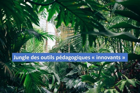 Trouver son chemin dans la jungle des outils pédagogiques "innovants"​ | Formation : Innovations et EdTech | Scoop.it