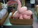 Pink Slime and Other Weird Food Additives You Don't Know You're Eating | Longevity science | Scoop.it